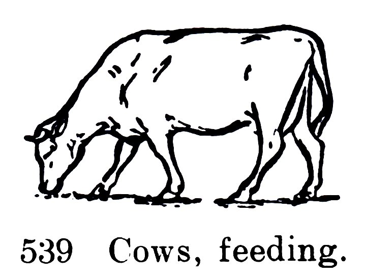 File:Cows, feeding, Britains Farm 539 (BritCat 1940).jpg