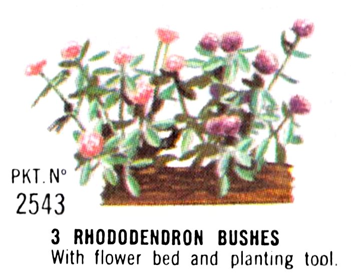 File:Rhododendron Bushes, Britains Floral Garden 2543 (Britains 1966).jpg