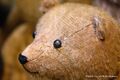 American Stick Bear, with jumper, closeup.jpg