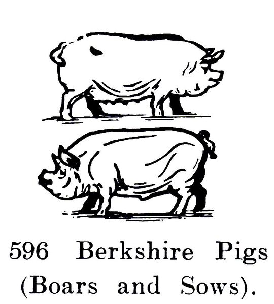 File:Berkshire Pigs (Boars and Sows), Britains Farm 596 (BritCat 1940).jpg