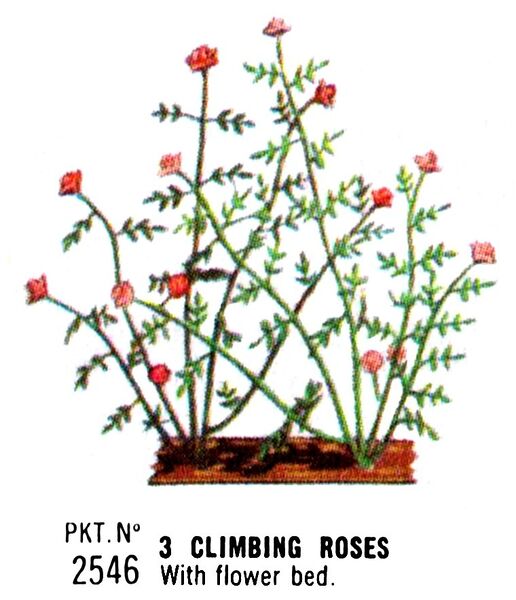 File:Climbing Roses, Britains Floral Garden 2546 (Britains 1966).jpg