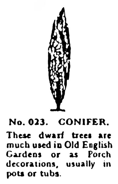 File:Conifer, Britains Garden 023 (BMG 1931).jpg