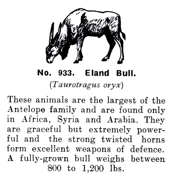 File:Eland Bull, Britains Zoo No933 (BritCat 1940).jpg
