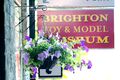 Flowers, Brighton Toy and Model Museum.jpg