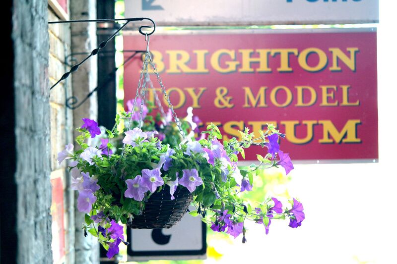File:Flowers, Brighton Toy and Model Museum.jpg