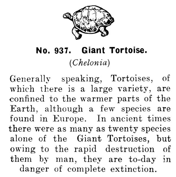 File:Giant Tortoise, Britains Zoo No937 (BritCat 1940).jpg