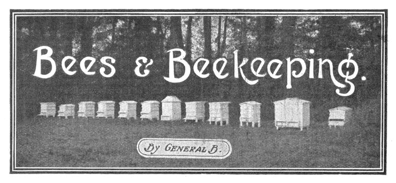 File:Hobbies Weekly, section artwork, Bees and Beekeeping (HW 1913-08-09).jpg
