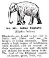 Indian Elephant, Britains Zoo No901 (BritCat 1940).jpg