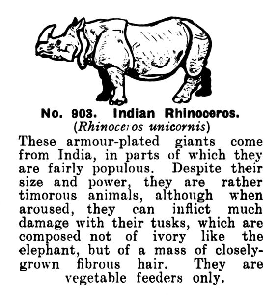 File:Indian Rhinoceros, Britains Zoo No908 (BritCat 1940).jpg