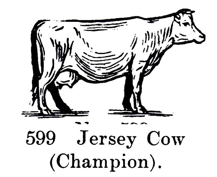 File:Jersey Cow (Champion), Britains Farm 599 (BritCat 1940).jpg