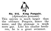 King Penguin, Britains Zoo No916 (BritCat 1940).jpg