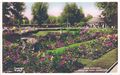 Rose Gardens, Preston Park, postcard (Wardells 664).jpg