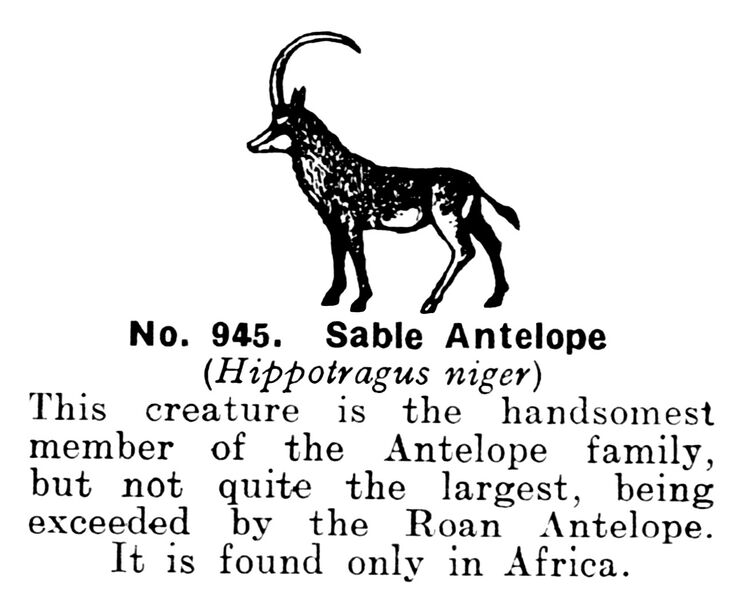 File:Sable Antelope, Britains Zoo No945 (BritCat 1940).jpg