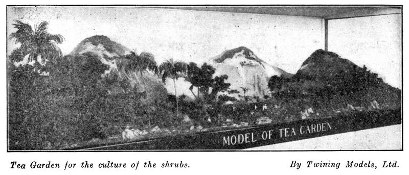 File:Tea Garden model, Twining Models (WM 1928).jpg
