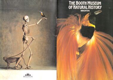 1990: "The Booth Museum of Natural History"