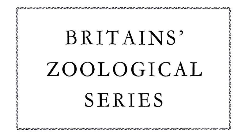 File:Britains Zoological Series heading (Britains 1940).jpg
