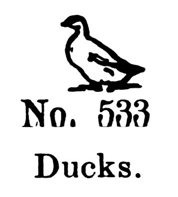 File:Ducks, Britains Farm 533 (BritCat 1940).jpg