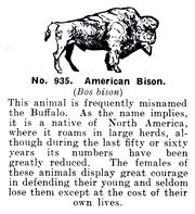 American Bison, Britains Zoo No935 (BritCat 1940).jpg
