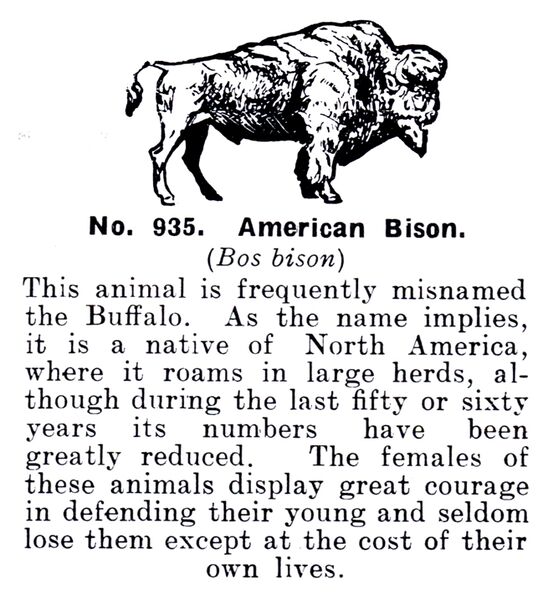 File:American Bison, Britains Zoo No935 (BritCat 1940).jpg