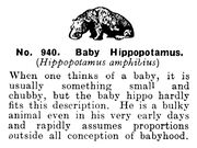 Baby Hippopotamus, Britains Zoo No940 (BritCat 1940).jpg
