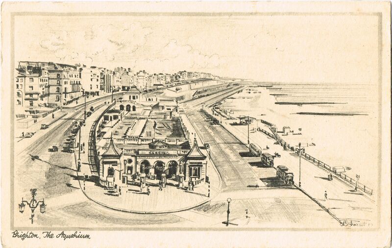File:Brighton, The Aquarium, pencil sketch, postcard (PhotochromPencilette ~1937).jpg
