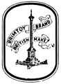 Brimtoy Brand logo.jpg