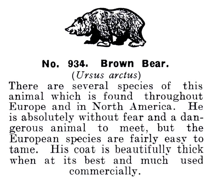 File:Brown Bear, Britains Zoo 934 (BritCat 1940).jpg