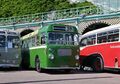 Buses, HCVS Rally (Brighton 2019-05).jpg