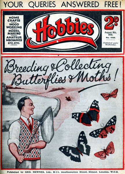 File:Butterflies and Moths, Hobbies no1868 (HW 1931-08-08).jpg