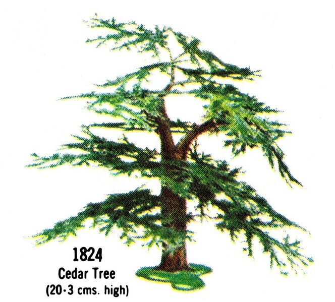 File:Cedar Tree, 1824 (BritainsCat 1967).jpg