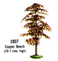 Copper Beech Tree, 1807 (BritainsCat 1967).jpg