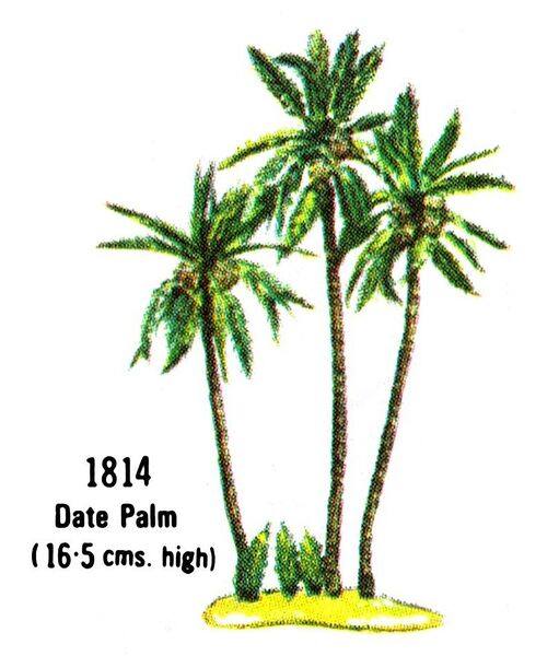File:Date Palm, 1814 (BritainsCat 1967).jpg