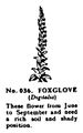 Foxglove, Britains Garden 036 (BMG 1931).jpg