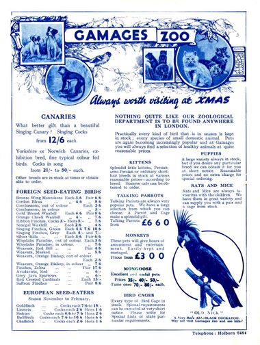 1932: "Gamages Zoo" pet shop department, full-page
