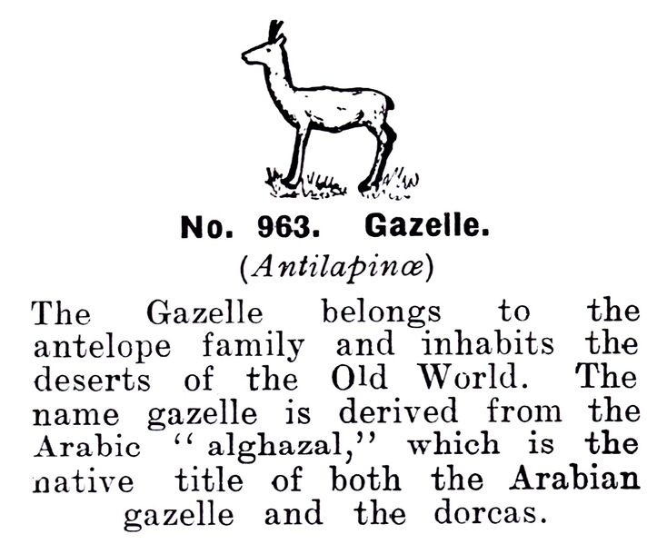 File:Gazelle, Britains Zoo No963 (BritCat 1940).jpg