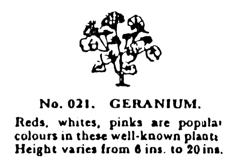 File:Geranium, Britains Garden 022 (BMG 1931).jpg