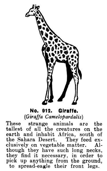 File:Giraffe, Britains Zoo No912 (BritCat 1940).jpg