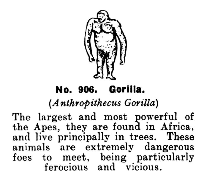 File:Gorilla, Britains Zoo No906 (BritCat 1940).jpg