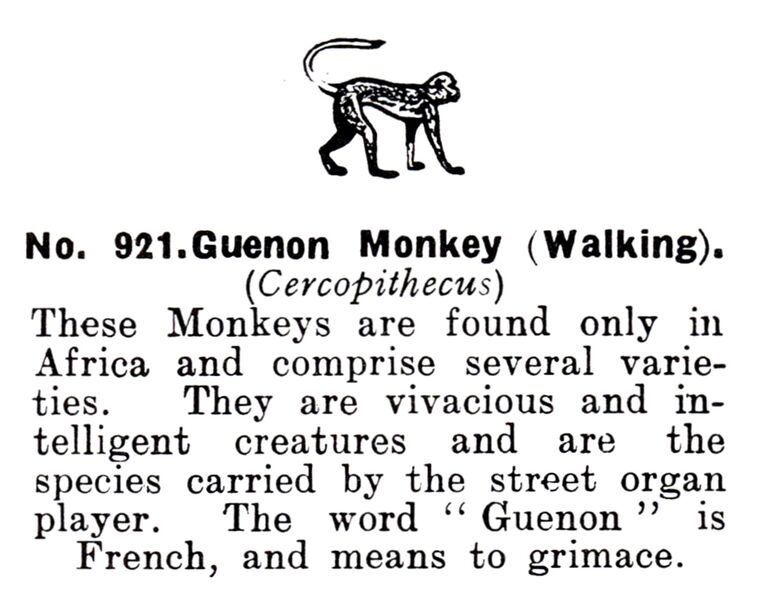File:Guernon Monkey (Walking), Britains Zoo No921 (BritCat 1940).jpg