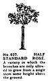 Half Standard Rose, Britains Garden 027 (BMG 1931).jpg