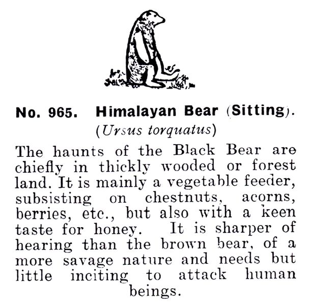 File:Himalayan Bear (Sitting), Britains Zoo No965 (BritCat 1940).jpg