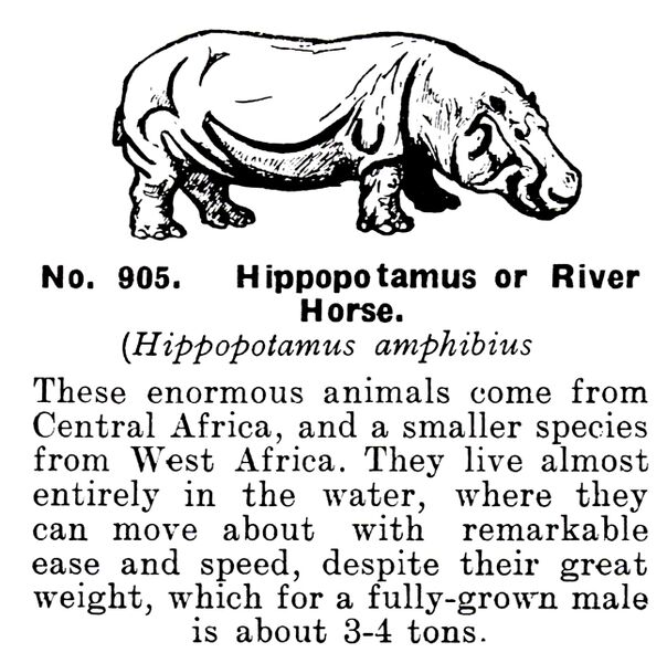 File:Hippopotamus, Britains Zoo No905 (BritCat 1940).jpg