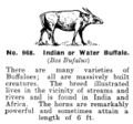 Indian or Water Buffalo, Britains Zoo No968 (BritCat 1940).jpg