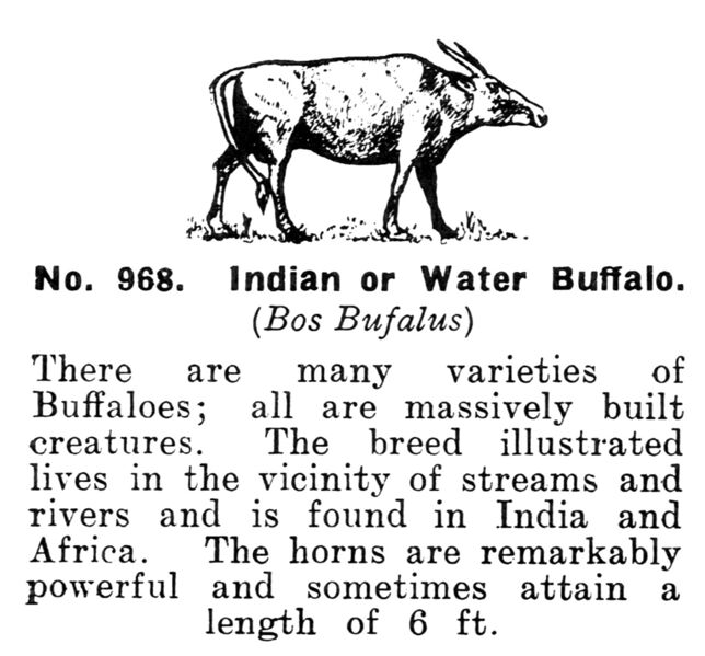 File:Indian or Water Buffalo, Britains Zoo No968 (BritCat 1940).jpg