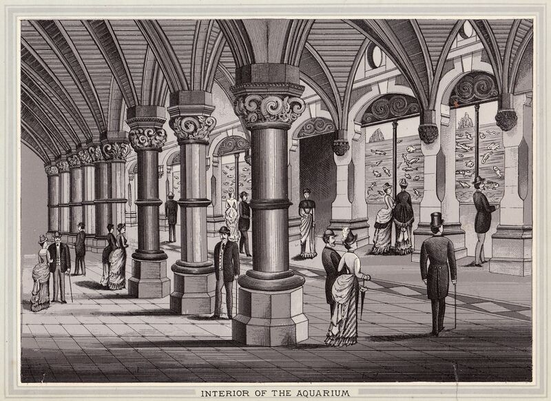 File:Interior of the Aquarium, engraving (TNAB 1888).jpg