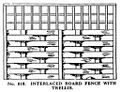 Interlaced Board Fence with Trellis, Britains Garden 018 (BMG 1931).jpg