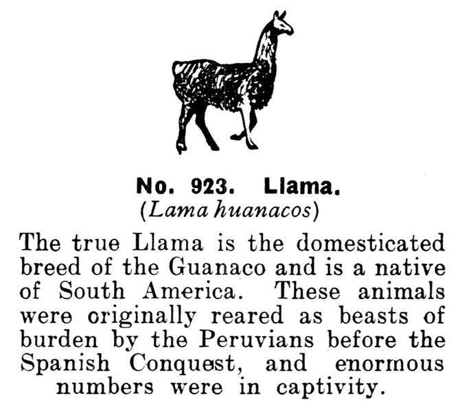 File:Llama, Britains Zoo No923 (BritCat 1940).jpg