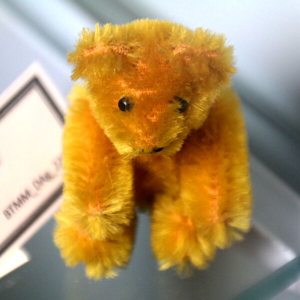 File:Miniature Golden Bear, from above (Schuco).jpg