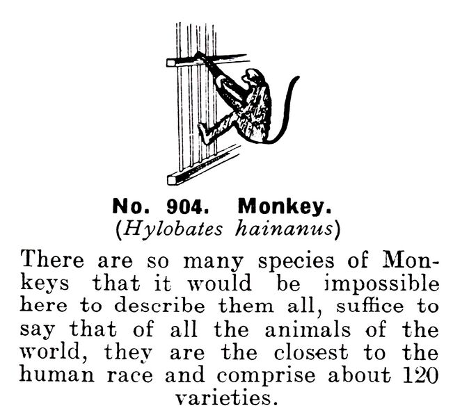 File:Monkey, Britains Zoo No904 (BritCat 1940).jpg