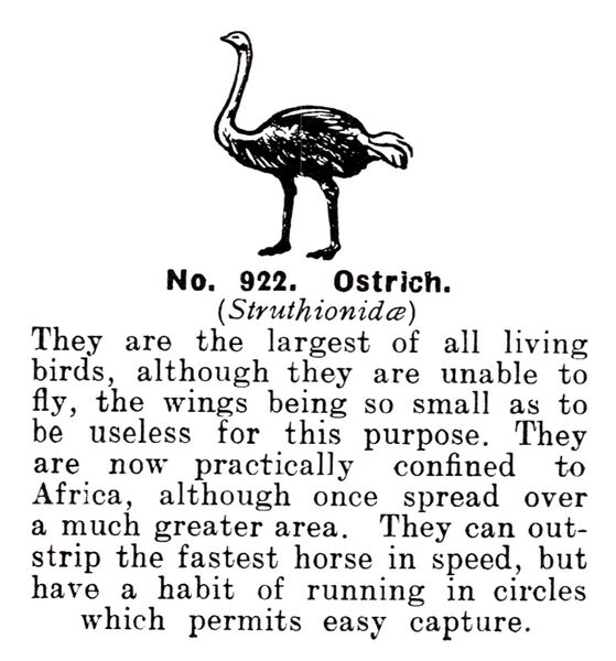 File:Ostrich, Britains Zoo No922 (BritCat 1940).jpg